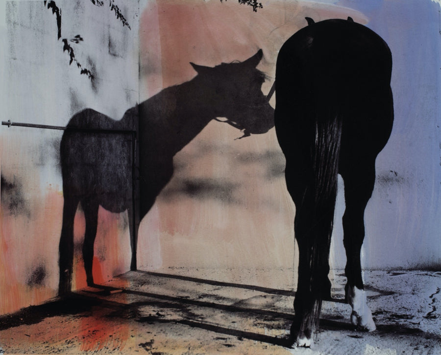 Shadow Horse