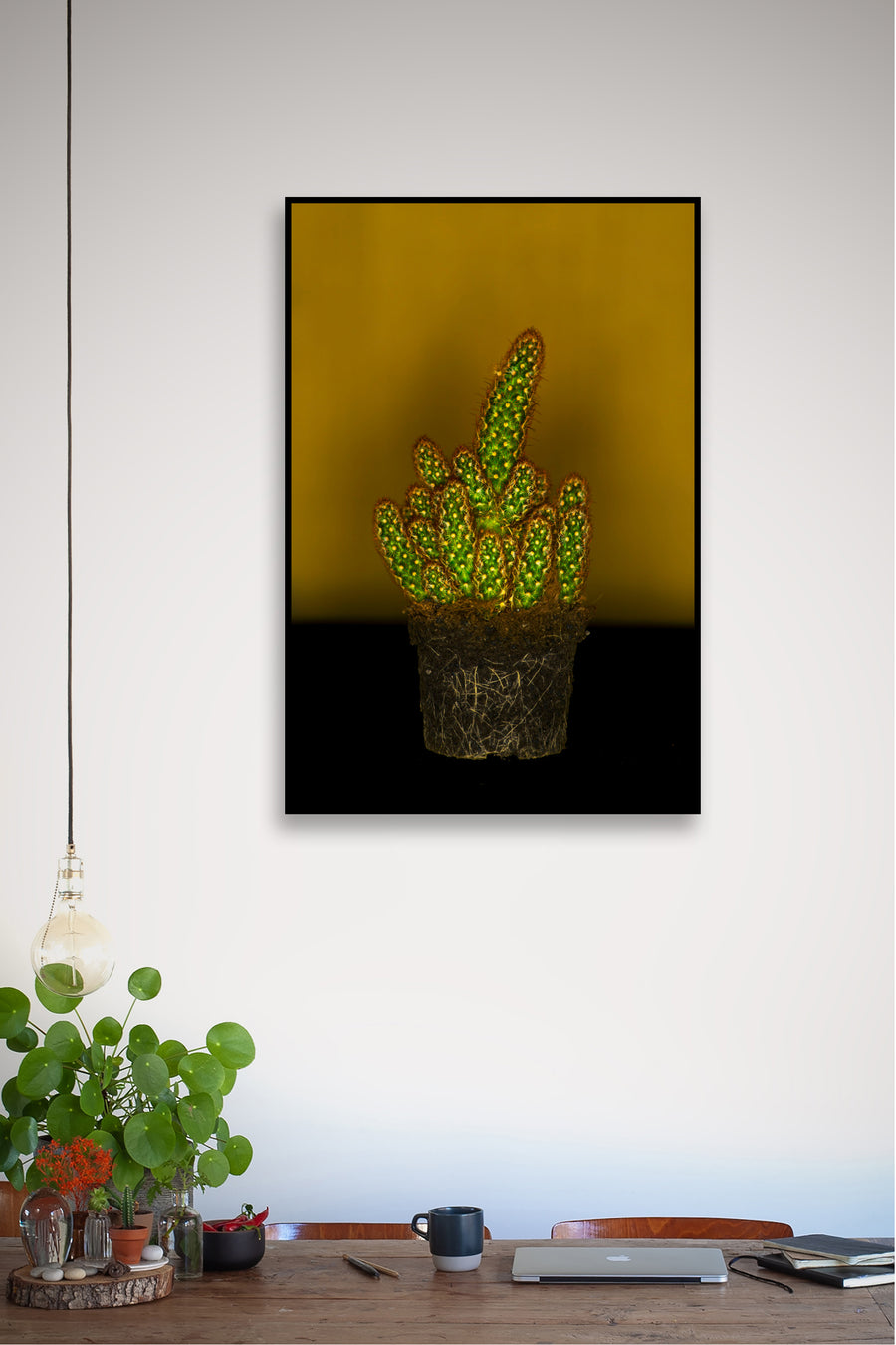 Casual Cactus