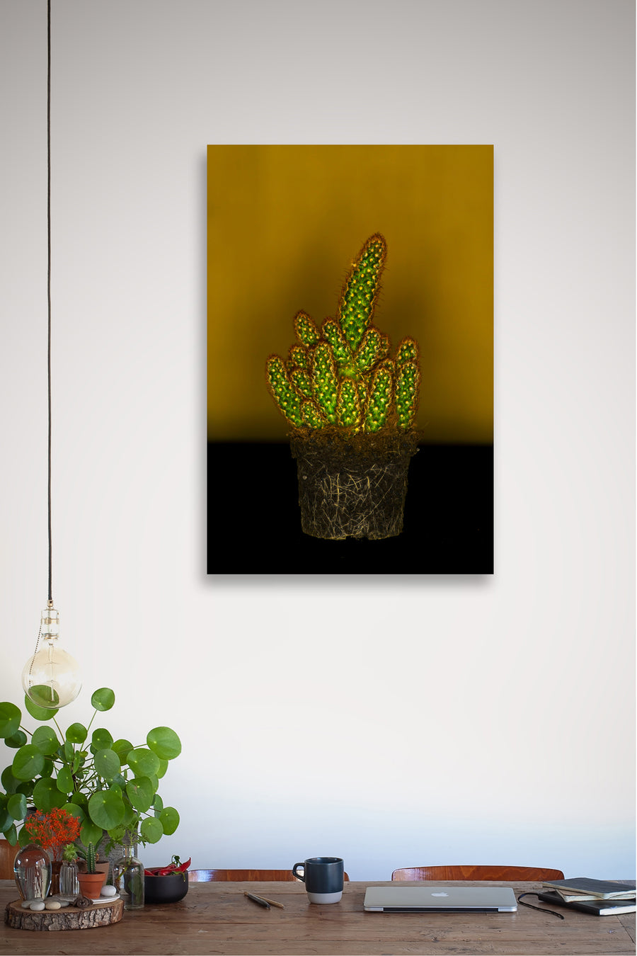 Casual Cactus