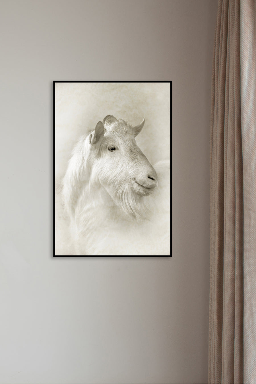 Whiter Goat
