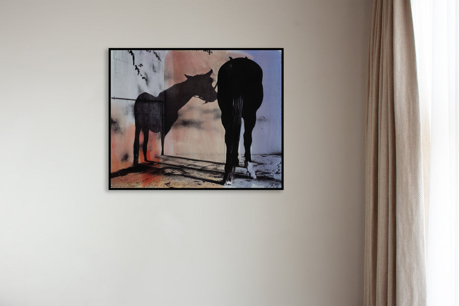 Shadow Horse
